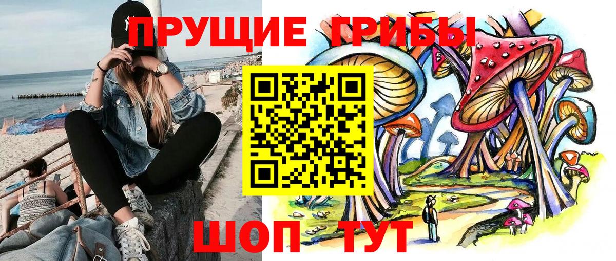 Костомукша  Псилоцибиновые грибы Psilocybine cubensis  Вход с VPN 